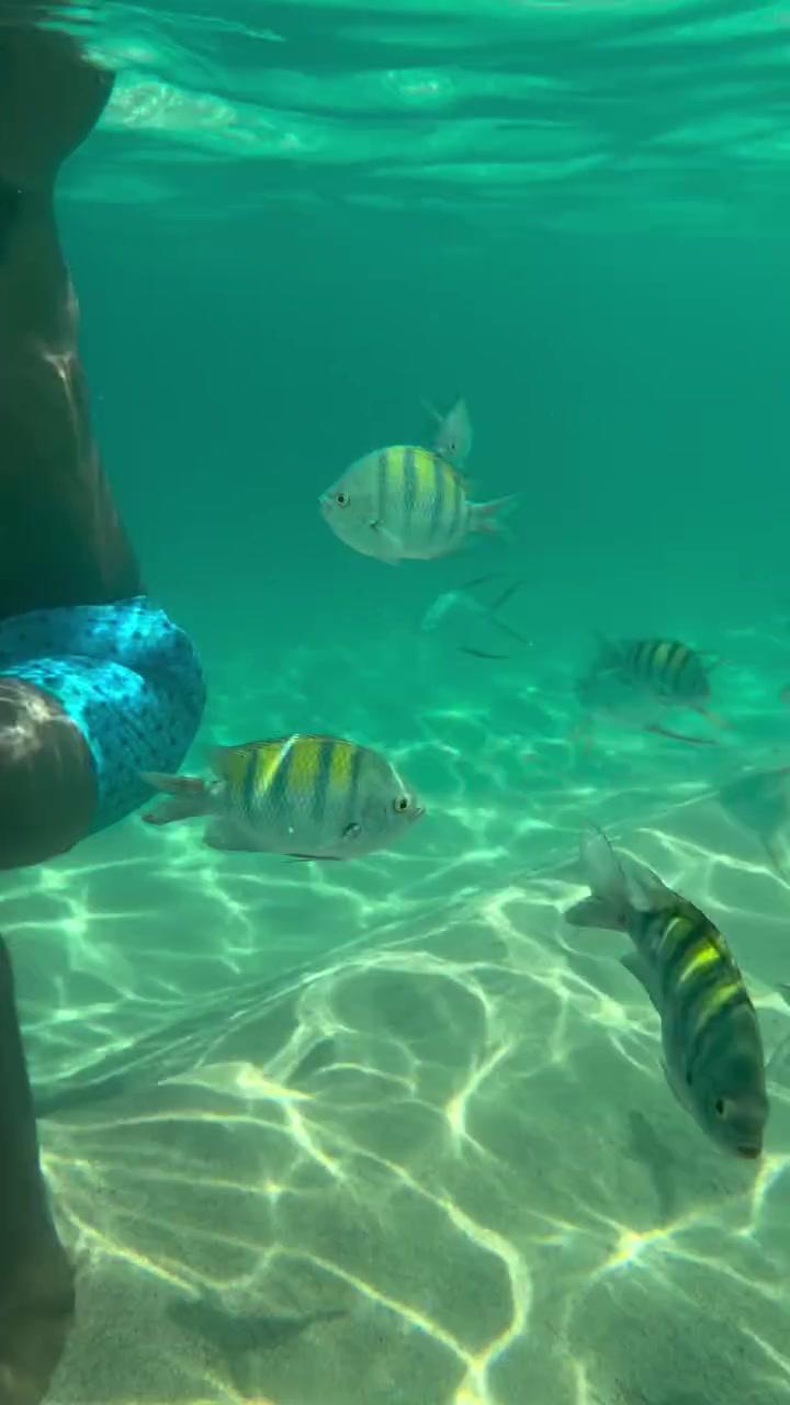 ??不釣魚了？喬治更新社媒曬自己浮潛與魚共舞??????